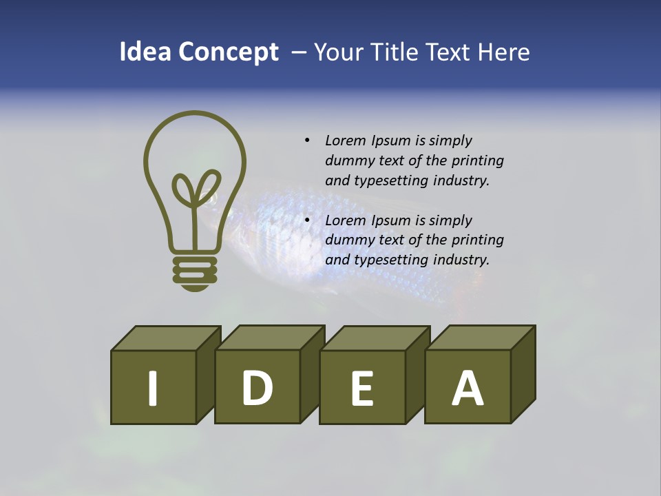 Symphysodon Fish Discus PowerPoint Template