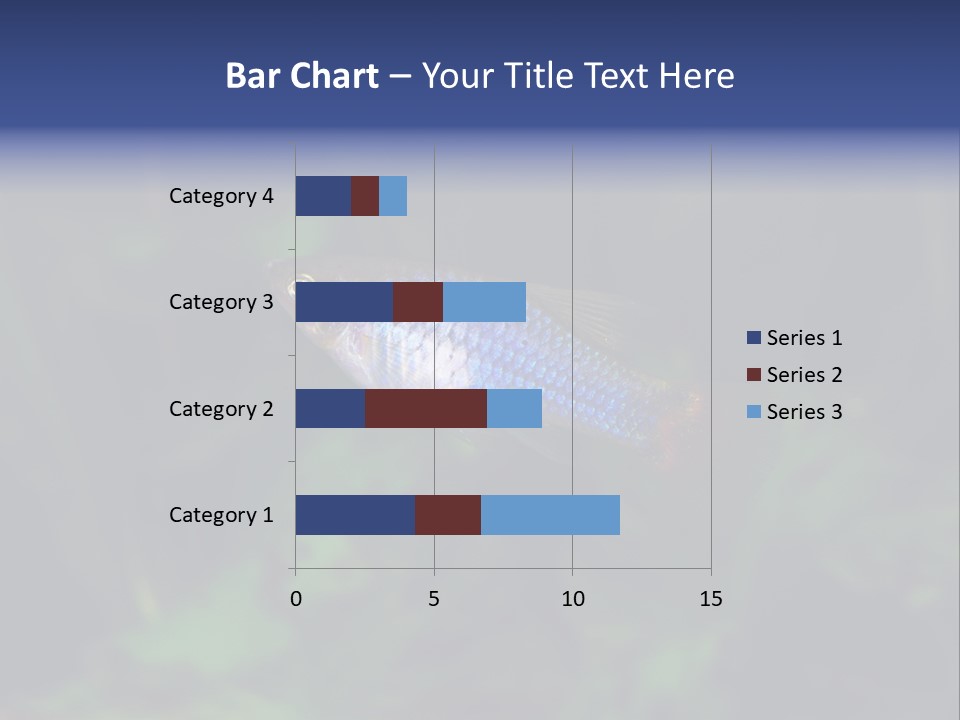 Symphysodon Fish Discus PowerPoint Template