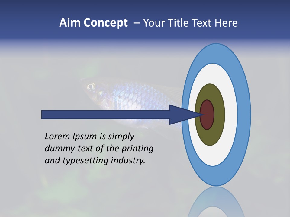 Symphysodon Fish Discus PowerPoint Template