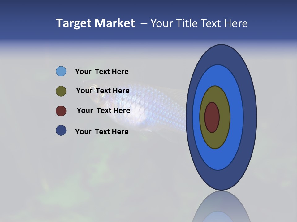 Symphysodon Fish Discus PowerPoint Template