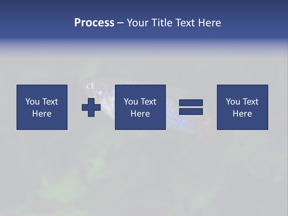Symphysodon Fish Discus PowerPoint Template