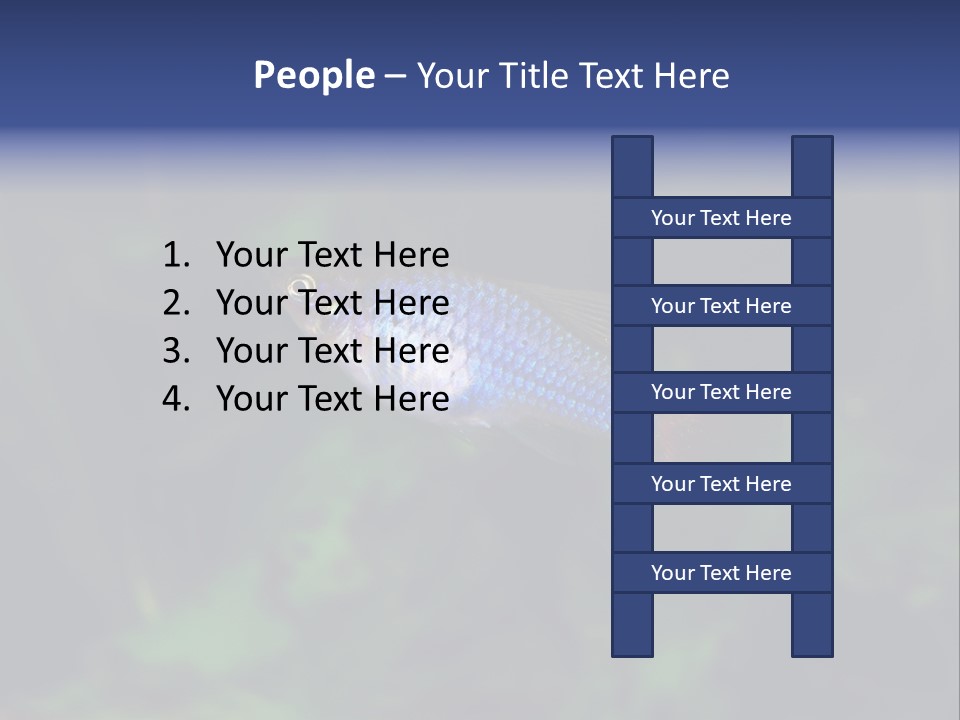 Symphysodon Fish Discus PowerPoint Template