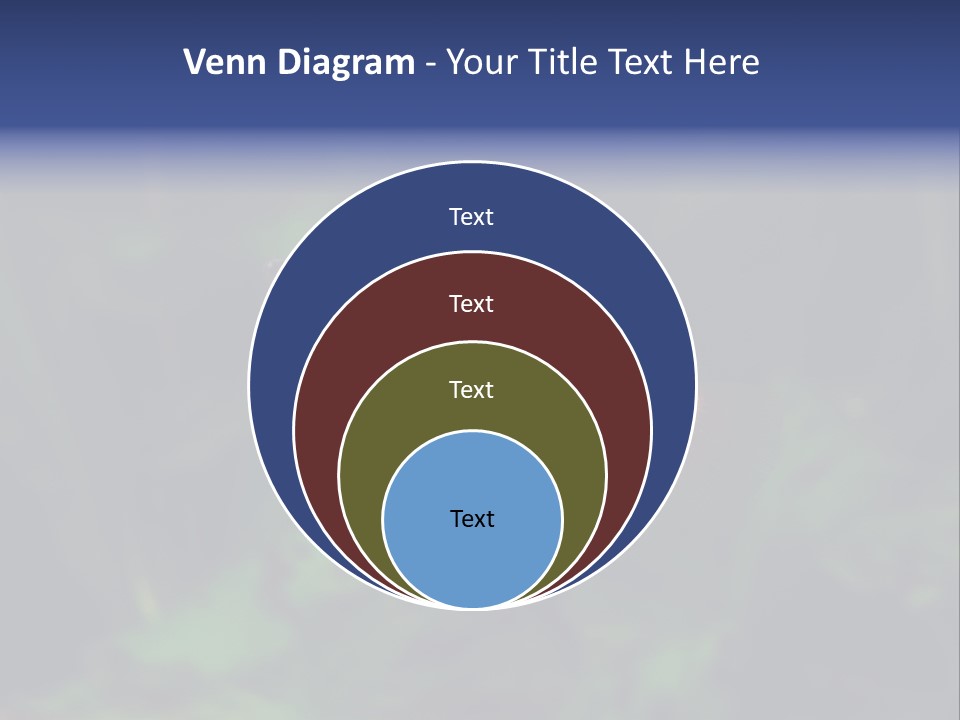 Symphysodon Fish Discus PowerPoint Template