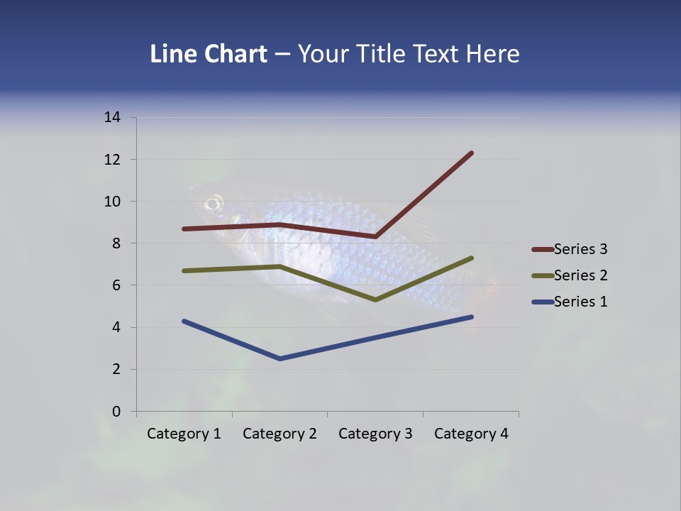 Symphysodon Fish Discus PowerPoint Template