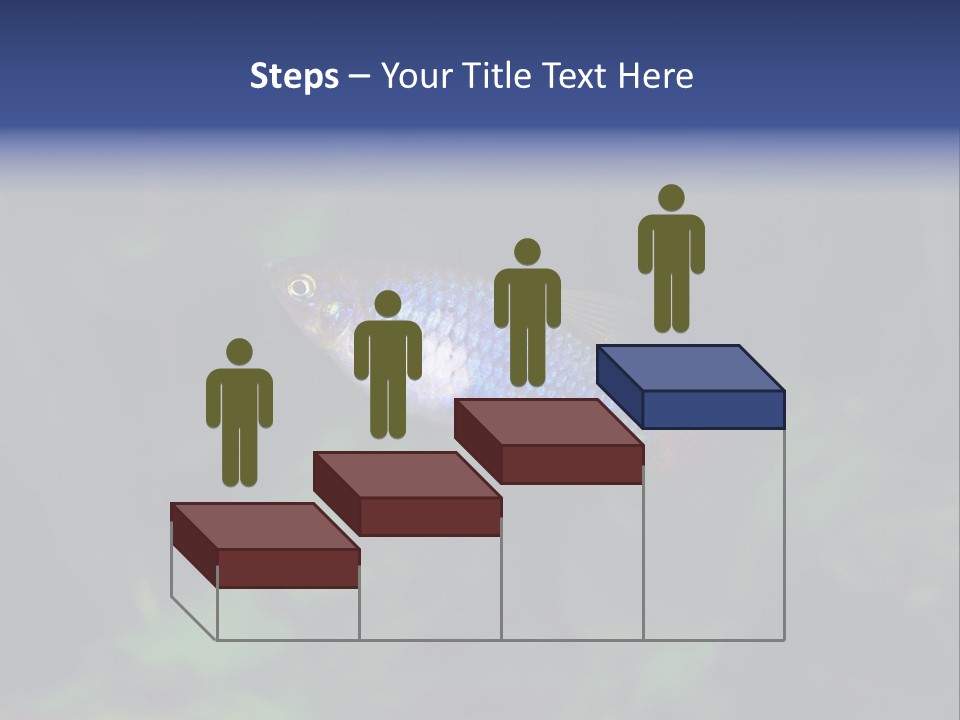 Symphysodon Fish Discus PowerPoint Template