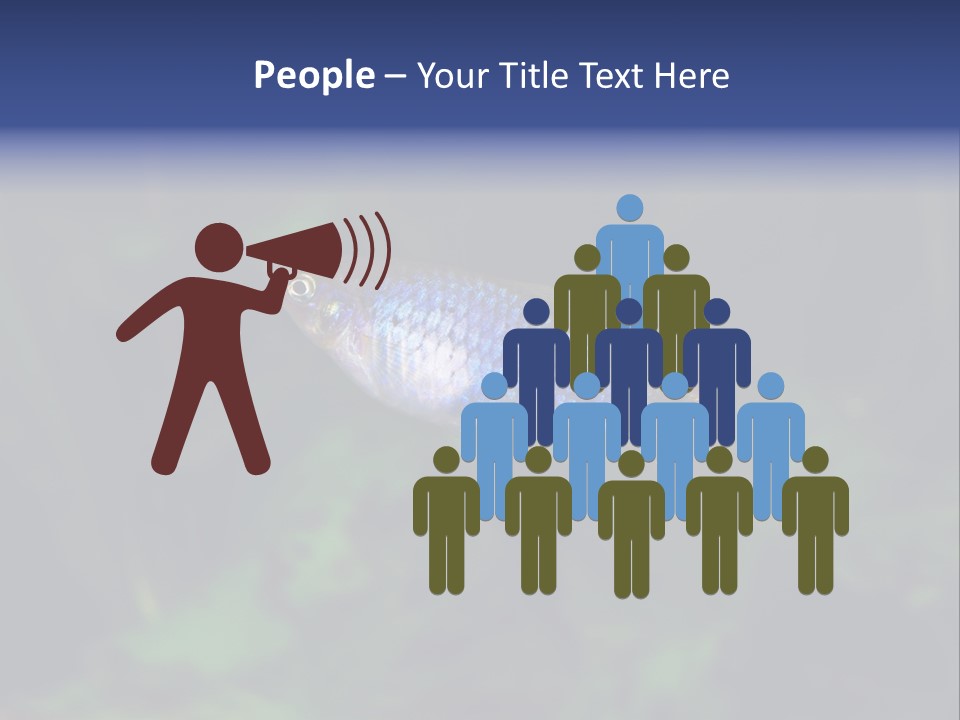 Symphysodon Fish Discus PowerPoint Template