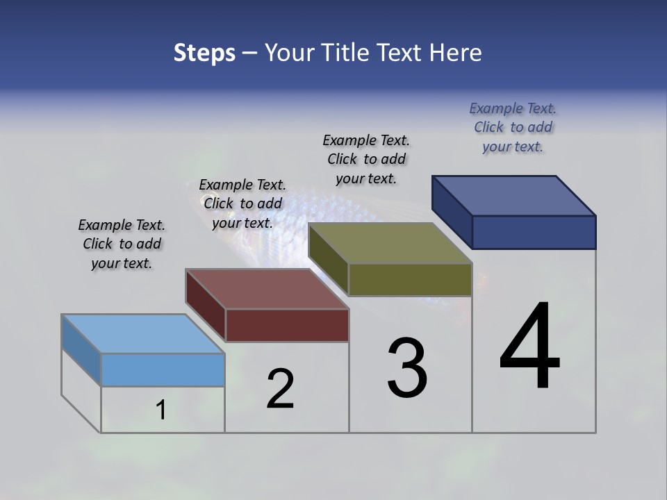 Symphysodon Fish Discus PowerPoint Template