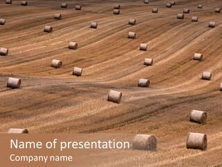 Harvest Summer Meadows PowerPoint Template