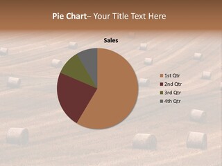 Harvest Summer Meadows PowerPoint Template