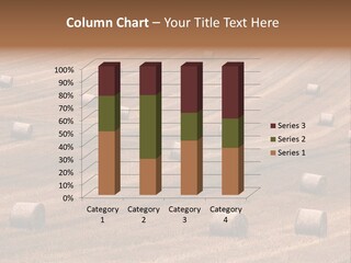 Harvest Summer Meadows PowerPoint Template