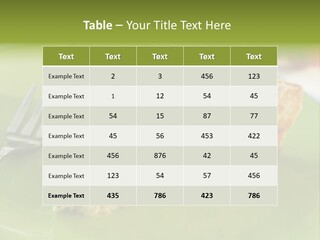 Herb Fried Snack PowerPoint Template