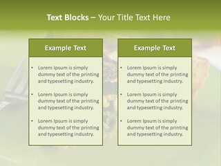 Herb Fried Snack PowerPoint Template