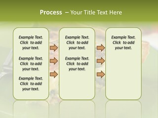 Herb Fried Snack PowerPoint Template