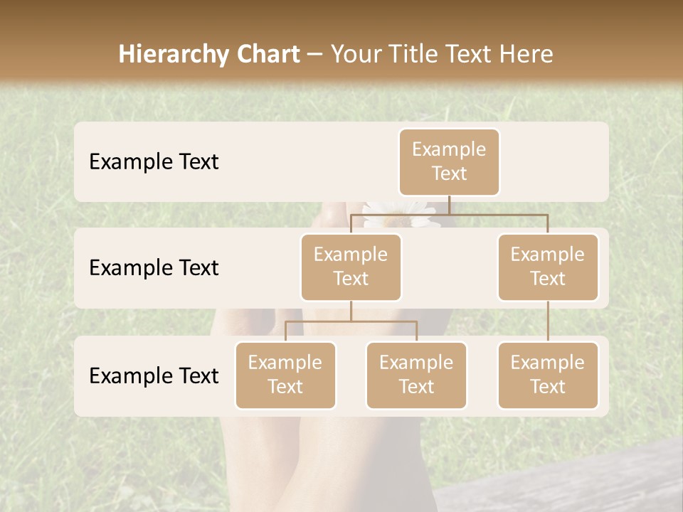 A Woman's Feet With Red Nail Polish And A Flower On Her Toe PowerPoint Template