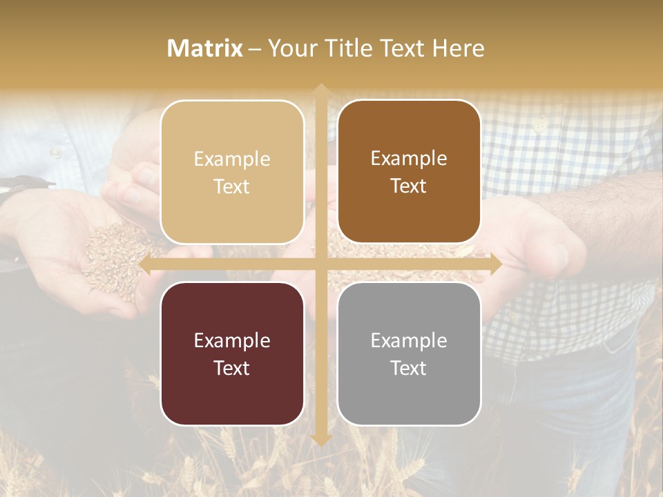 Whole Green Photography PowerPoint Template