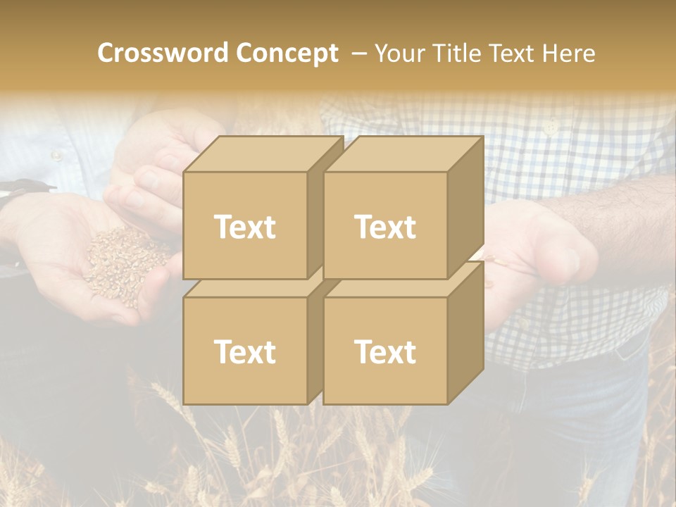 Whole Green Photography PowerPoint Template