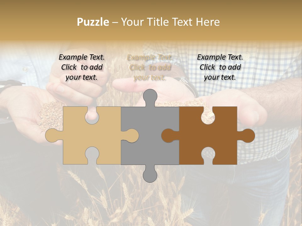 Whole Green Photography PowerPoint Template