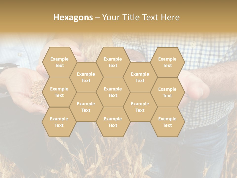Whole Green Photography PowerPoint Template
