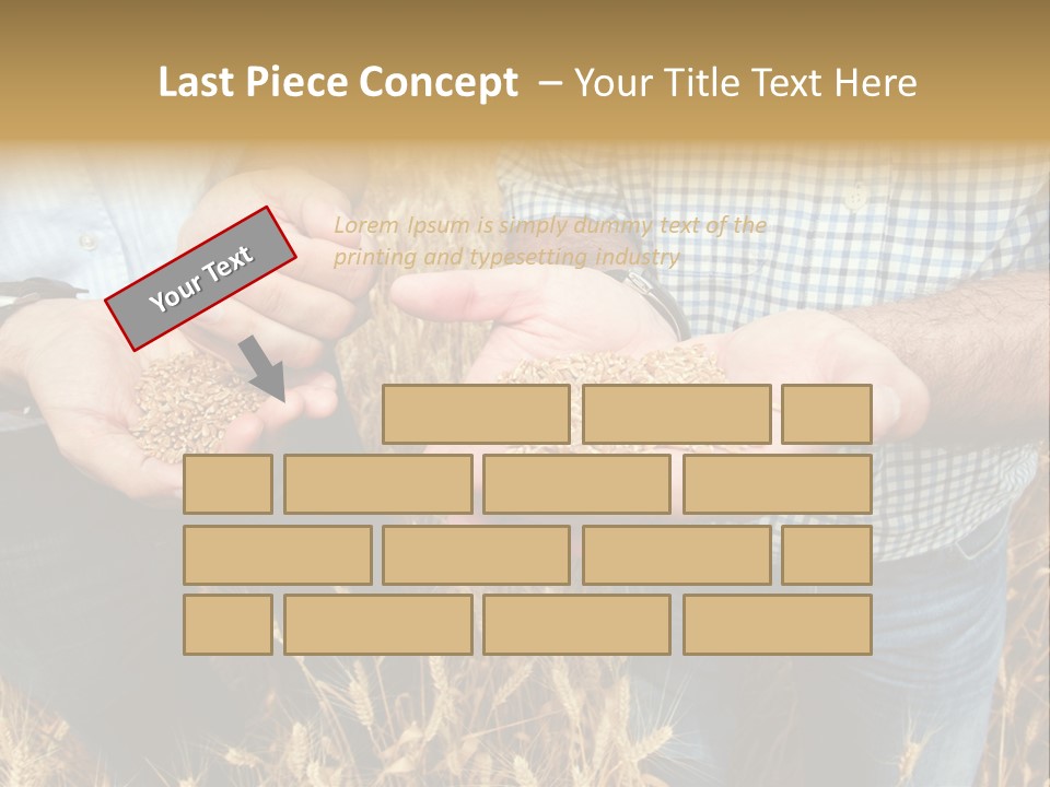 Whole Green Photography PowerPoint Template