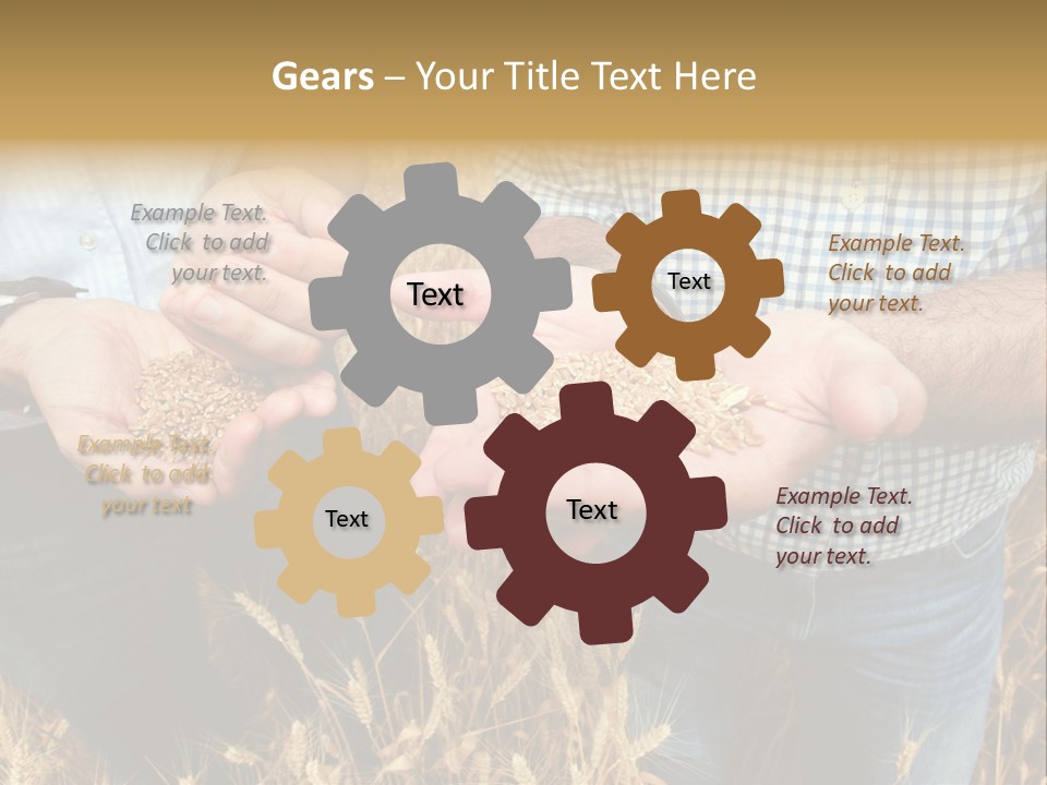 Whole Green Photography PowerPoint Template