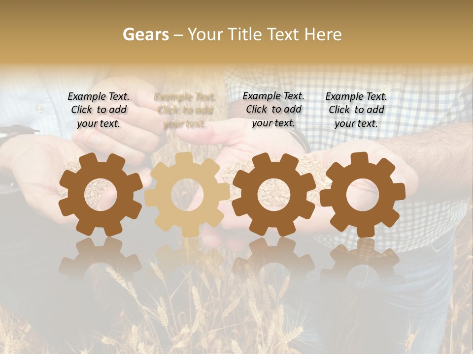 Whole Green Photography PowerPoint Template