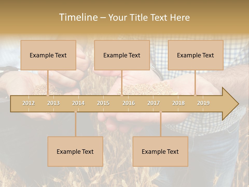 Whole Green Photography PowerPoint Template