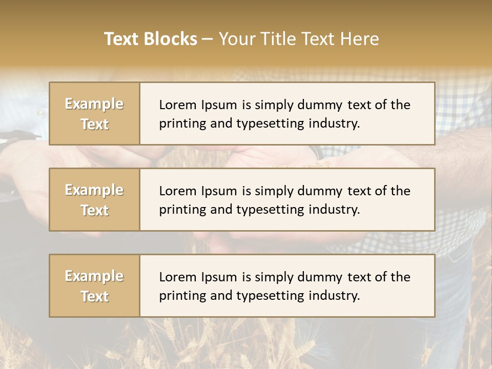 Whole Green Photography PowerPoint Template
