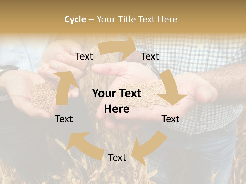 Whole Green Photography PowerPoint Template