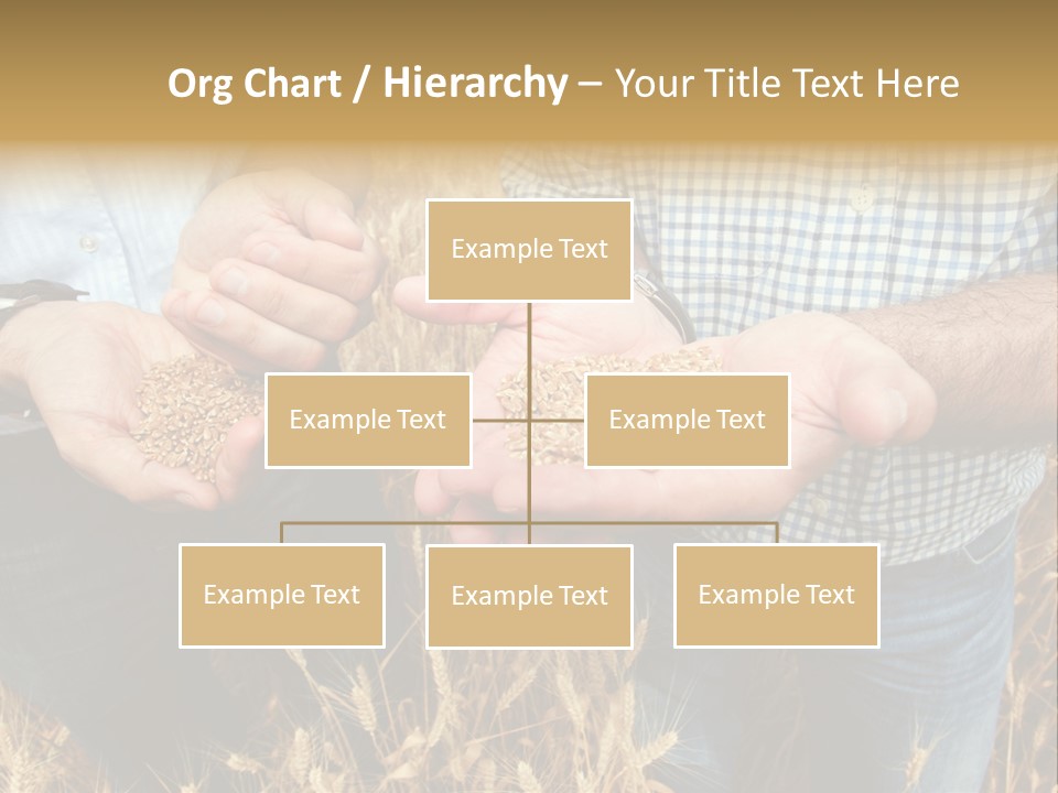 Whole Green Photography PowerPoint Template