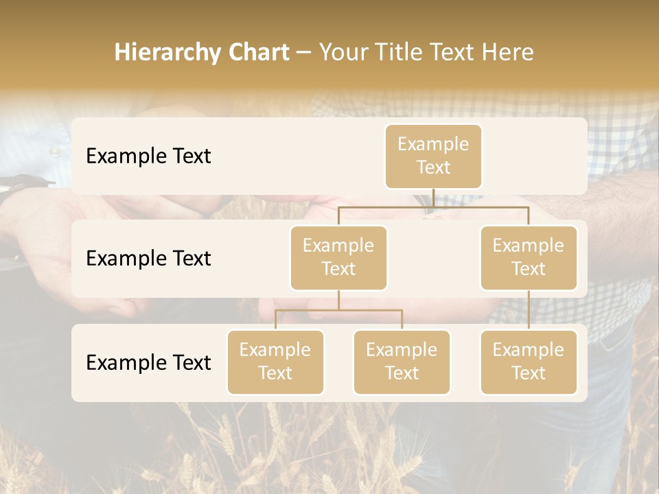 Whole Green Photography PowerPoint Template
