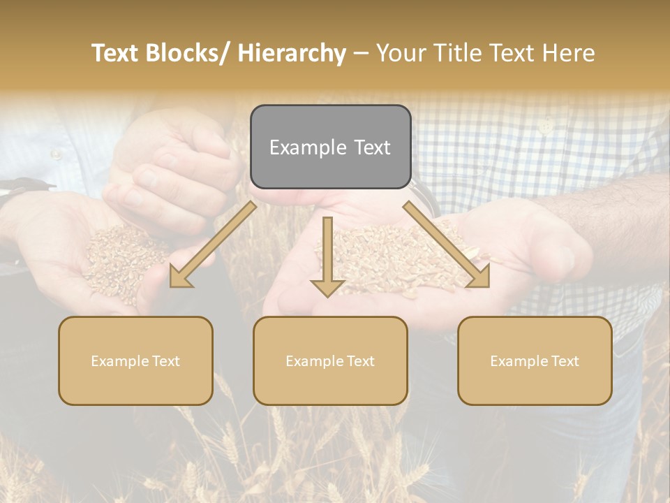 Whole Green Photography PowerPoint Template