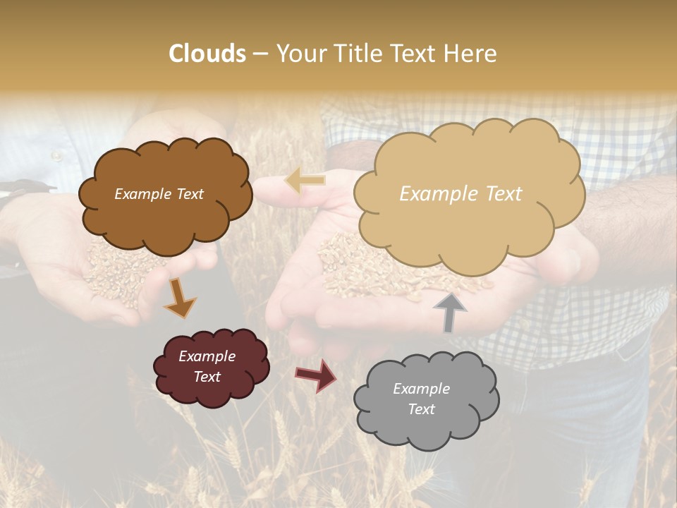 Whole Green Photography PowerPoint Template