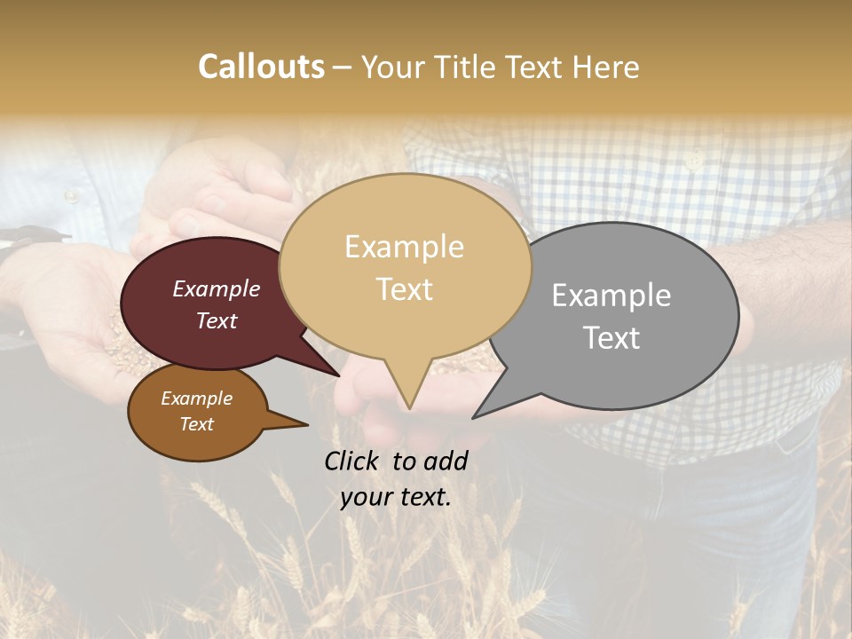 Whole Green Photography PowerPoint Template