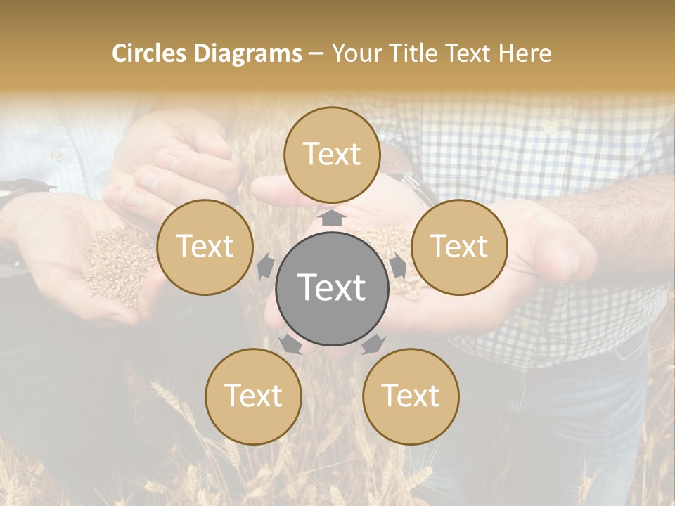 Whole Green Photography PowerPoint Template