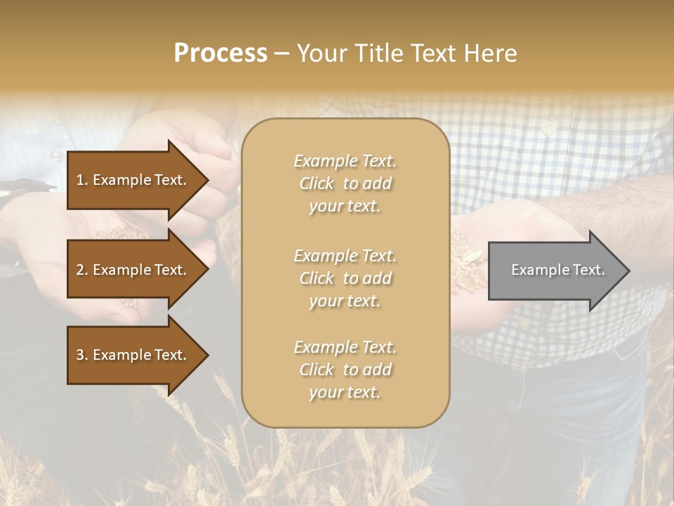 Whole Green Photography PowerPoint Template