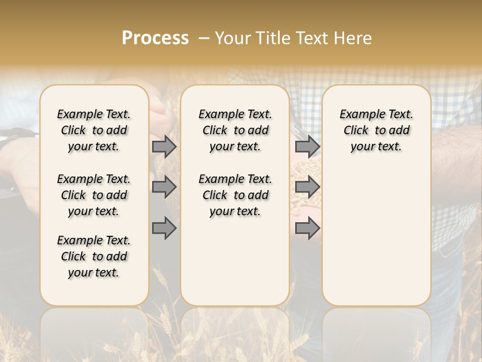 Whole Green Photography PowerPoint Template