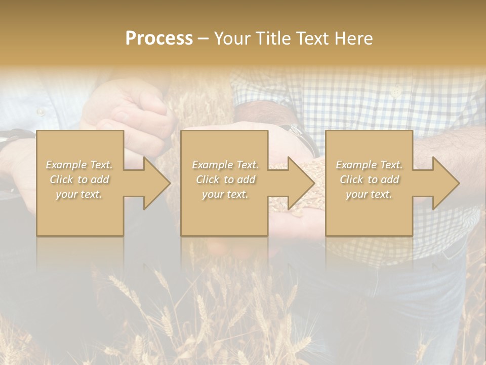 Whole Green Photography PowerPoint Template