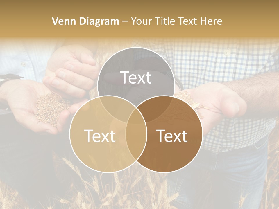 Whole Green Photography PowerPoint Template