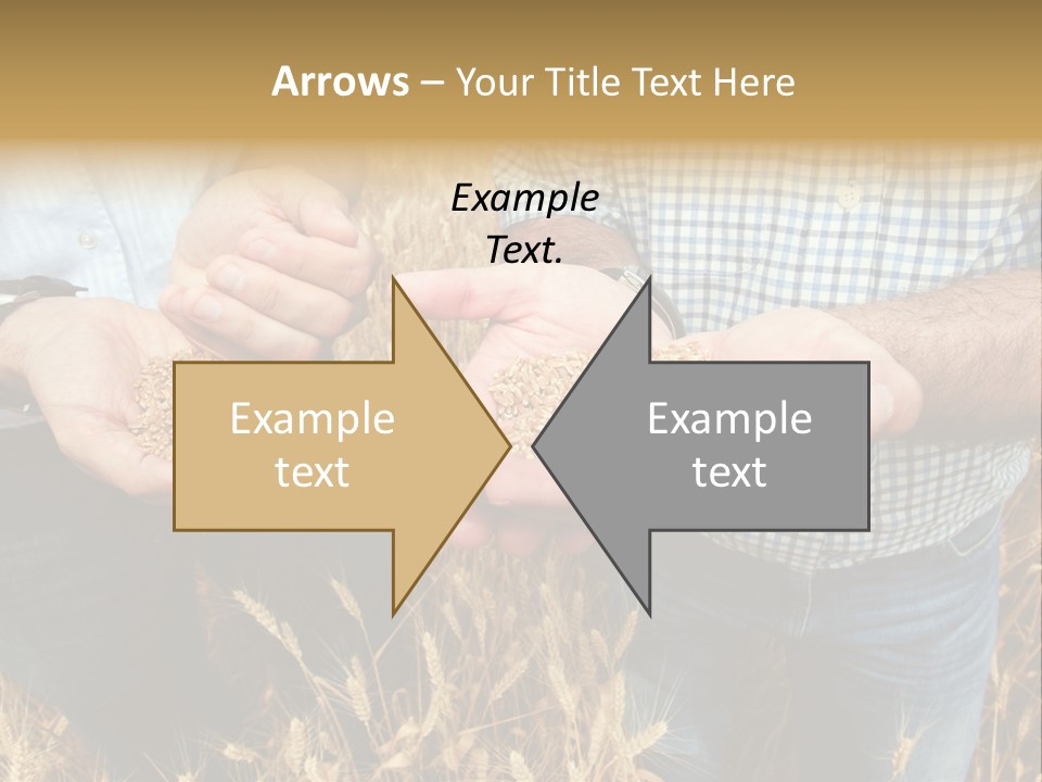 Whole Green Photography PowerPoint Template