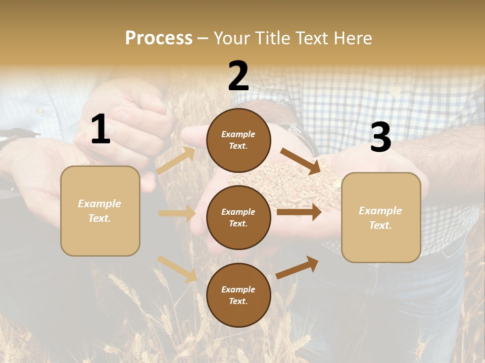 Whole Green Photography PowerPoint Template