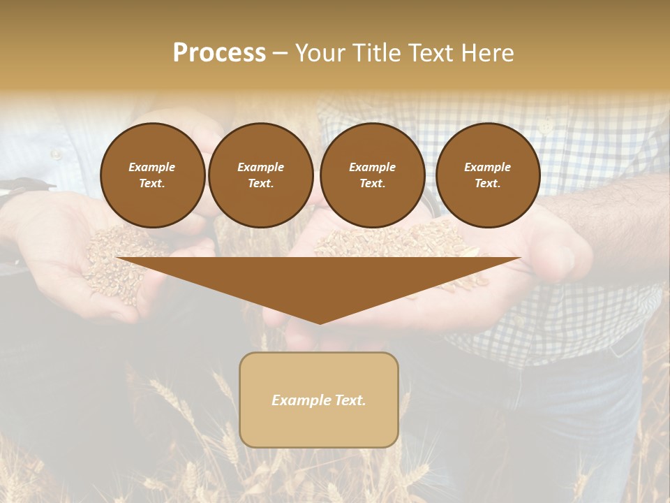 Whole Green Photography PowerPoint Template