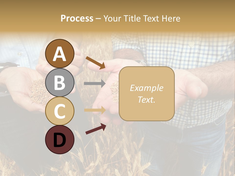 Whole Green Photography PowerPoint Template