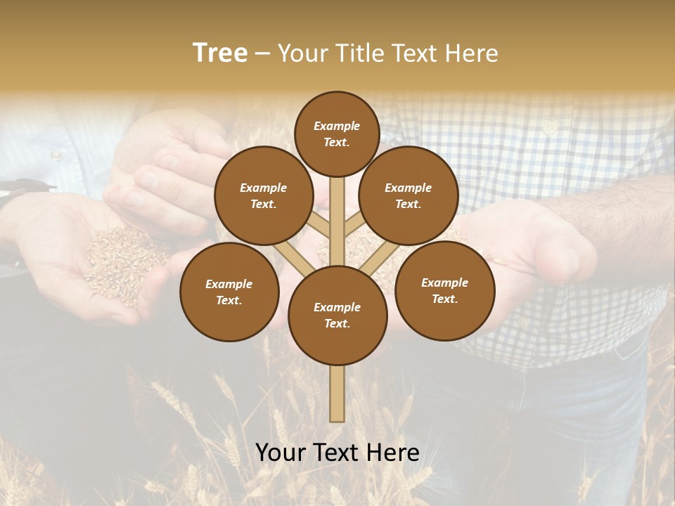 Whole Green Photography PowerPoint Template