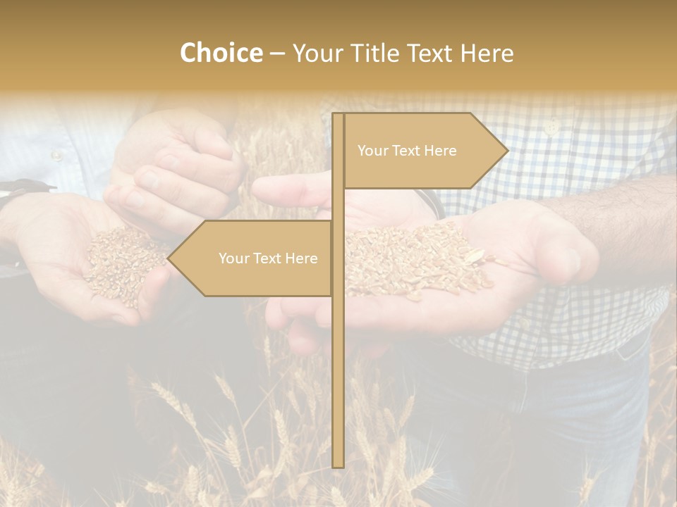 Whole Green Photography PowerPoint Template