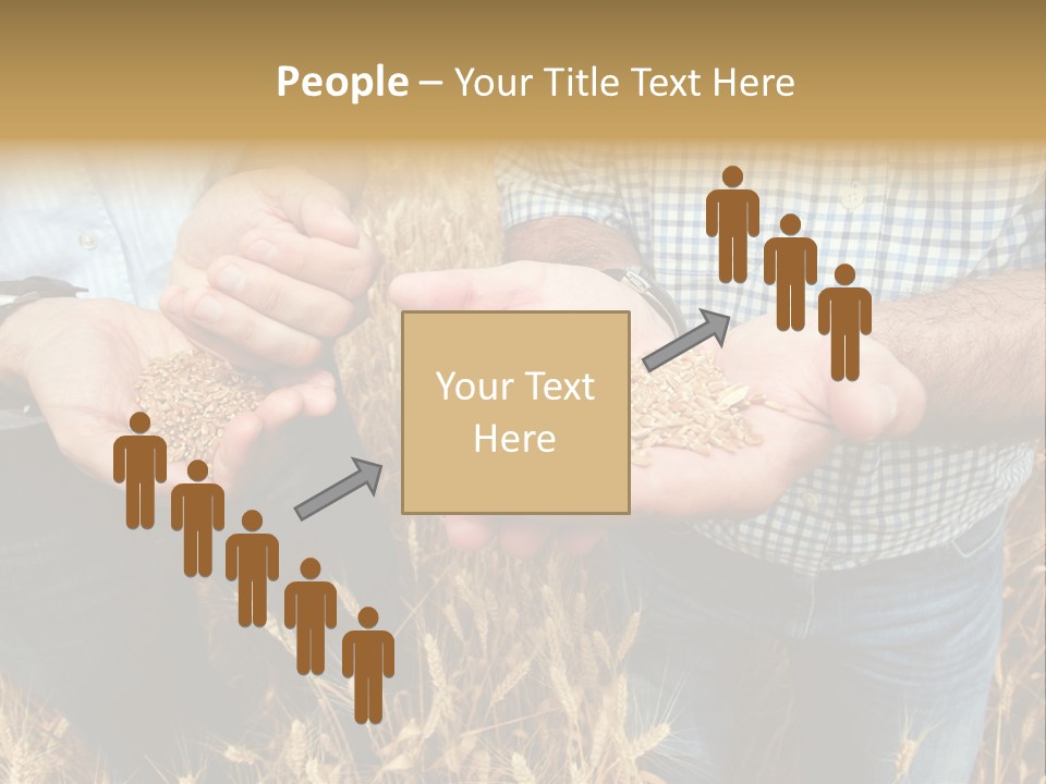 Whole Green Photography PowerPoint Template