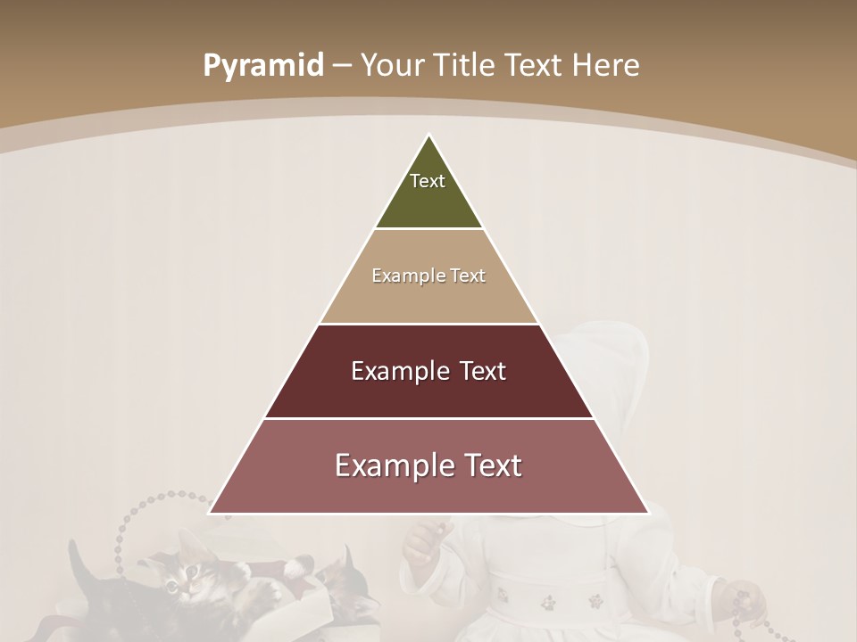 Box Room New PowerPoint Template