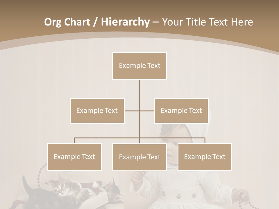 Box Room New PowerPoint Template