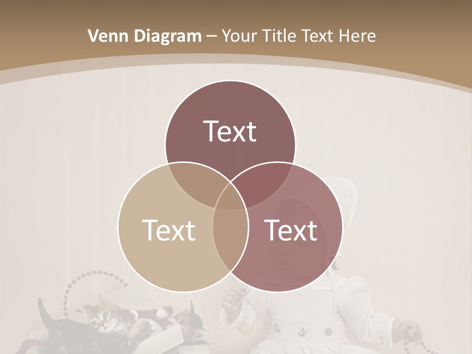 Box Room New PowerPoint Template