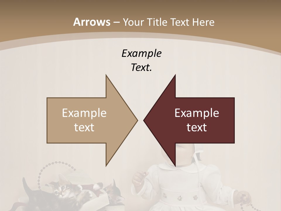 Box Room New PowerPoint Template