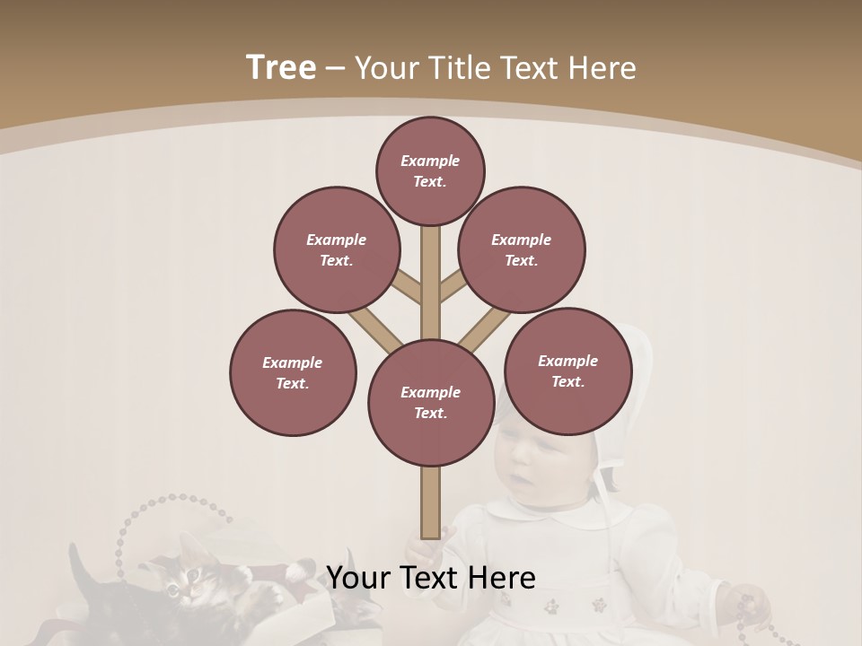 Box Room New PowerPoint Template